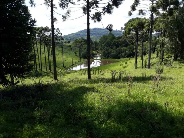 Imagem 15: Sitio Serra Grande Tres Coroas - Gramado