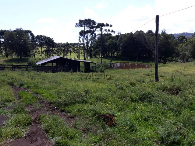 Imagem 16: Sitio Serra Grande Tres Coroas - Gramado