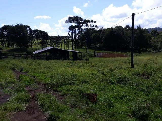Imagem: Sitio Serra Grande Tres Coroas - Gramado