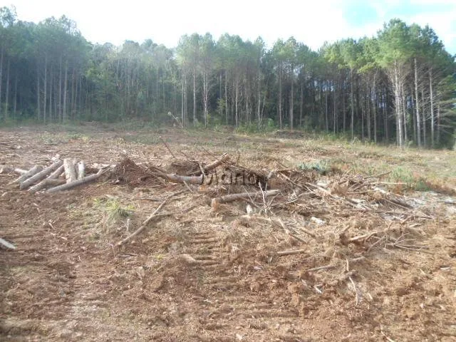 Imagem 2: SÍTIO PRÓXIMO AO CENTRO DE GRAMADO