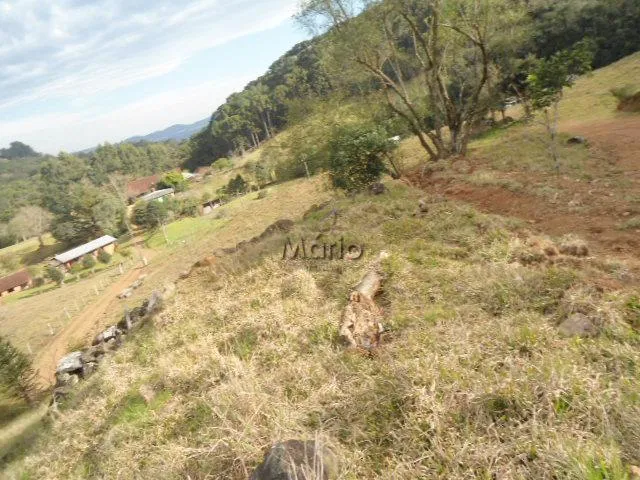 Imagem 5: SÍTIO PRÓXIMO AO CENTRO DE GRAMADO