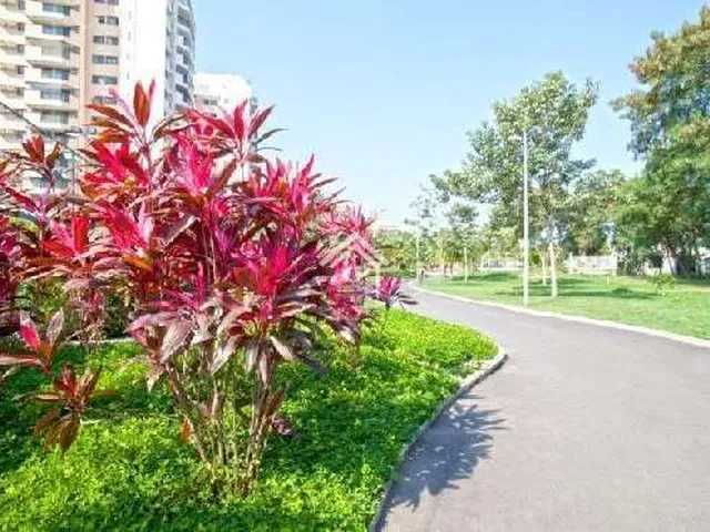 Imagem 13: Apartamento de 3 quartos no Rio2