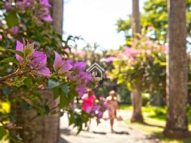 Imagem 12: Apartamento de 3 quartos no Rio2