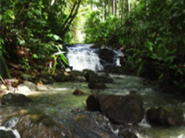 Imagem 5: Terreno em Vila de São José - Itacaré