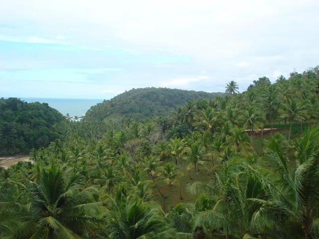 Imagem 13: Terreno em Vila de São José - Itacaré
