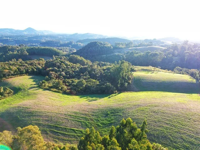 Imagem: Chácara Rural