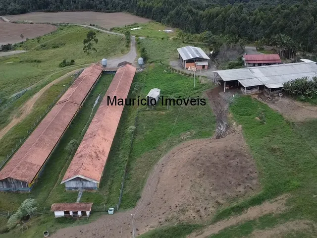 Imagem 1: Duas granjas tipo crechário para 1.600 suínos, automatizada com todos os e