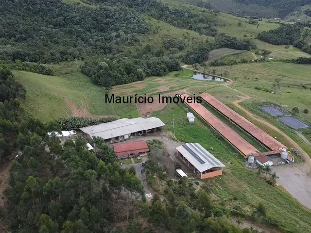 Imagem 11: Duas granjas tipo crechário para 1.600 suínos, automatizada com todos os e