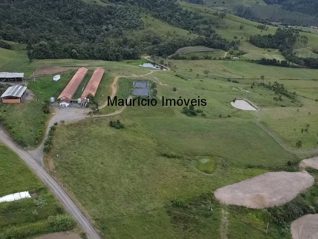 Imagem 13: Duas granjas tipo crechário para 1.600 suínos, automatizada com todos os e