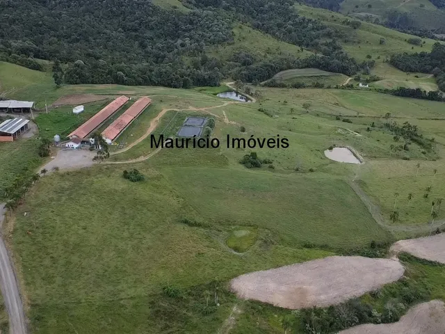 Imagem 15: Duas granjas tipo crechário para 1.600 suínos, automatizada com todos os e