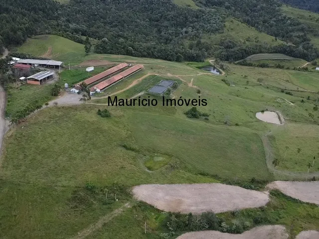 Imagem 16: Duas granjas tipo crechário para 1.600 suínos, automatizada com todos os e