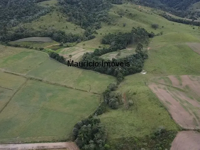 Imagem 14: Duas granjas tipo crechário para 1.600 suínos, automatizada com todos os e