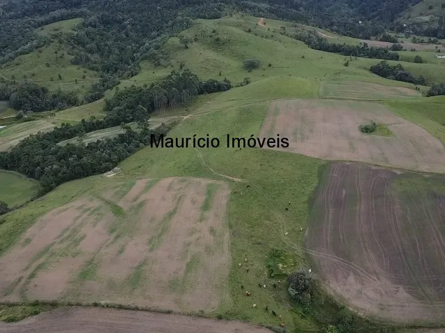 Imagem 3: Duas granjas tipo crechário para 1.600 suínos, automatizada com todos os e