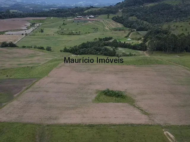 Imagem 9: Duas granjas tipo crechário para 1.600 suínos, automatizada com todos os e
