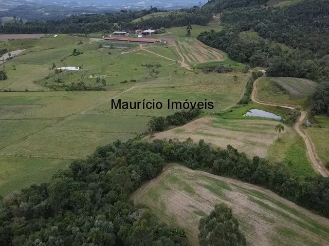Imagem 2: Duas granjas tipo crechário para 1.600 suínos, automatizada com todos os e