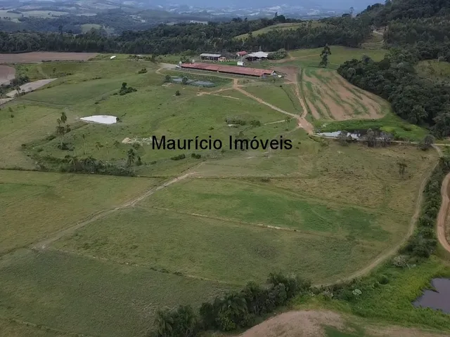 Imagem 10: Duas granjas tipo crechário para 1.600 suínos, automatizada com todos os e