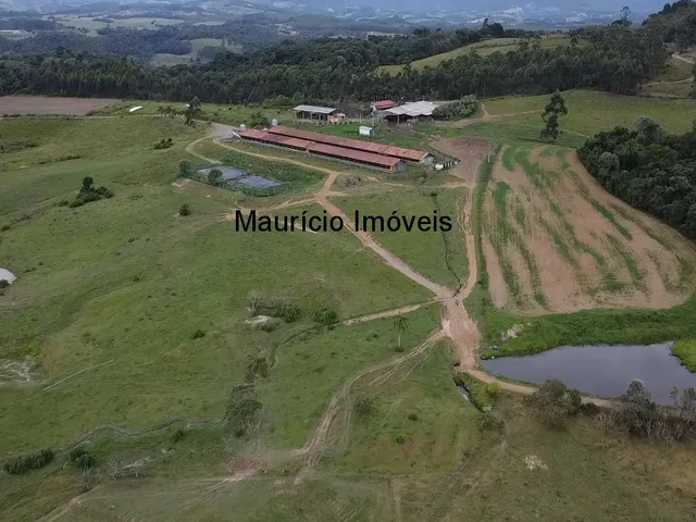 Imagem 12: Duas granjas tipo crechário para 1.600 suínos, automatizada com todos os e