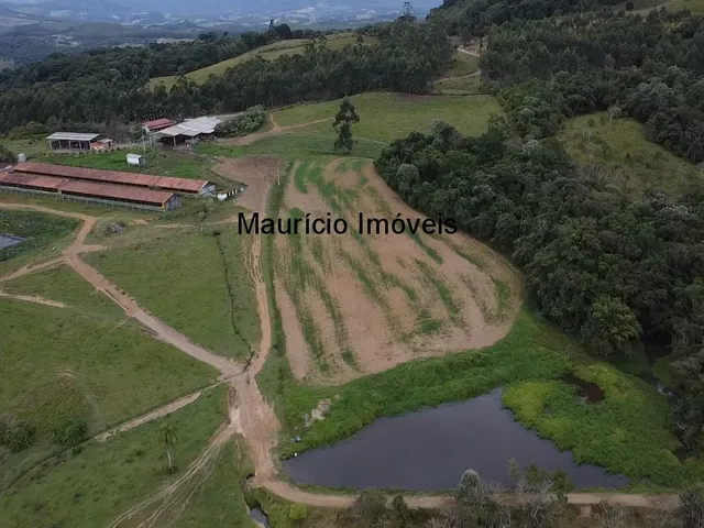 Imagem 4: Duas granjas tipo crechário para 1.600 suínos, automatizada com todos os e