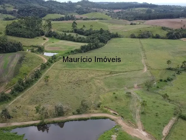 Imagem 6: Duas granjas tipo crechário para 1.600 suínos, automatizada com todos os e