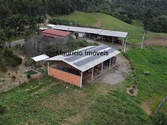 Imagem 5: Duas granjas tipo crechário para 1.600 suínos, automatizada com todos os e