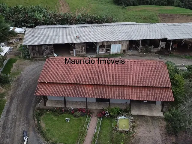 Imagem 7: Duas granjas tipo crechário para 1.600 suínos, automatizada com todos os e