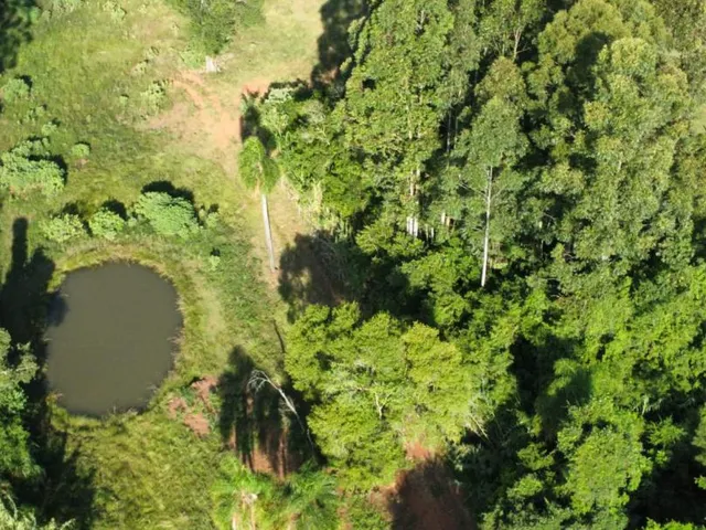 Imagem: Fazenda- Sitio com 3 Dormitorio(S) Localizado(A)