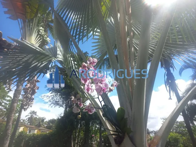 Imagem 8: Sítio de Luxo em Barra do Jacuípe 1.600m² de Área Venda e Locação Anual