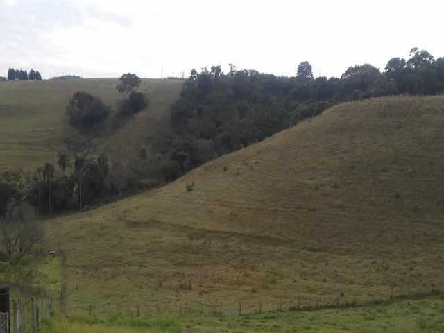 Imagem: Imobiliária Rural Sp, Fazenda a Venda Terras