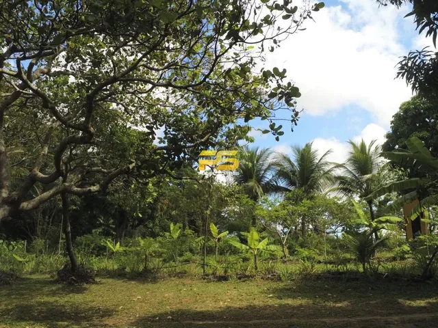 Imagem 6: Granja com 1,7 Hectares no Município de Conde/Pb