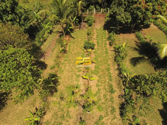 Imagem 3: Granja com 1,7 Hectares no Município de Conde/Pb