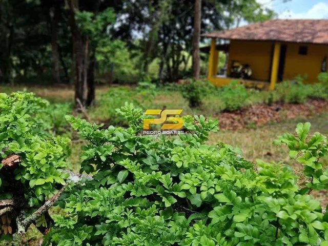 Imagem 5: Granja com 1,7 Hectares no Município de Conde/Pb