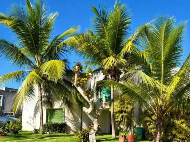 Imagem: Casa de alto padrão em condomínio de luxo
