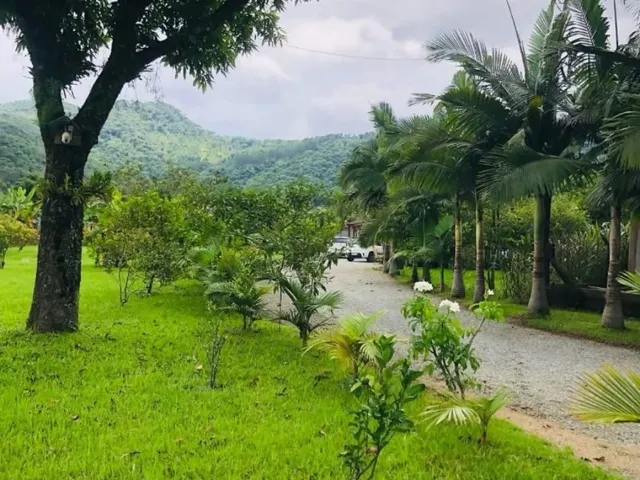 Imagem 15: VENDO OU TROCO SÍTIO NA ESTRADA GERAL DO BRAÇO EM CAMBORIÚ