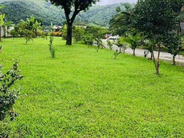 Imagem 8: VENDO OU TROCO SÍTIO NA ESTRADA GERAL DO BRAÇO EM CAMBORIÚ