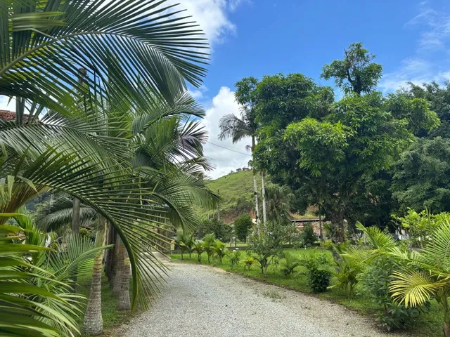 Imagem 7: VENDO OU TROCO SÍTIO NA ESTRADA GERAL DO BRAÇO EM CAMBORIÚ