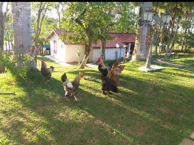 Imagem 2: BELÍSSIMA CHÁCARA EM CAPELA DO ALTO COM 21.000 m² de ÁREA TOTAL COM DOCUMENTAÇÃO!!!