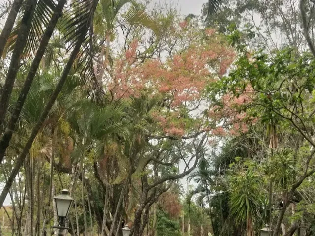 Imagem 7: BELÍSSIMA CHÁCARA EM CAPELA DO ALTO COM 21.000 m² de ÁREA TOTAL COM DOCUMENTAÇÃO!!!