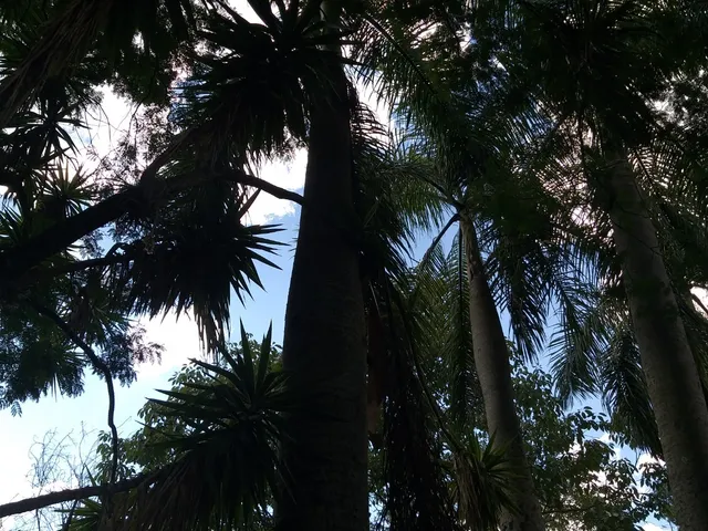 Imagem 8: BELÍSSIMA CHÁCARA EM CAPELA DO ALTO COM 21.000 m² de ÁREA TOTAL COM DOCUMENTAÇÃO!!!