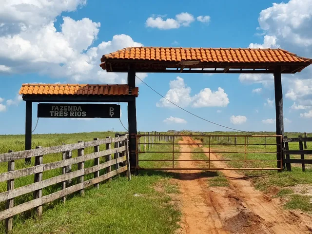 Imagem: A loja possui 18.340.000m² de Área Privada e está