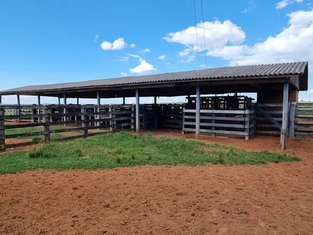 Imagem 4: Terreno Rural para Venda em Amambaí, 18,340,000M²