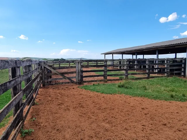 Imagem 11: Terreno Rural para Venda em Amambaí, 18,340,000M²