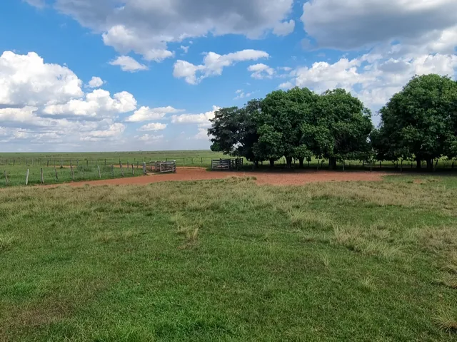 Imagem 12: Terreno Rural para Venda em Amambaí, 18,340,000M²