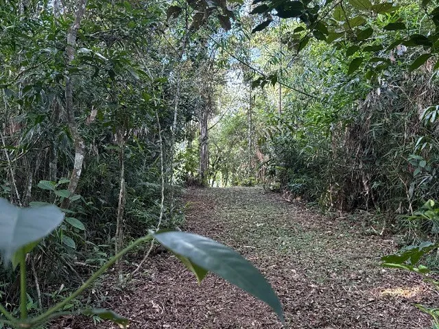 Imagem 11: Chácara com 30.000m² à Venda em Camboriú