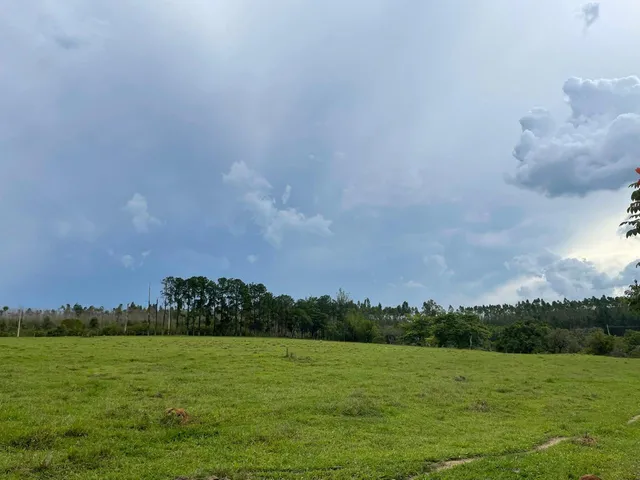 Imagem 5: 0 Fazenda / sítio com 3 dormitórios
