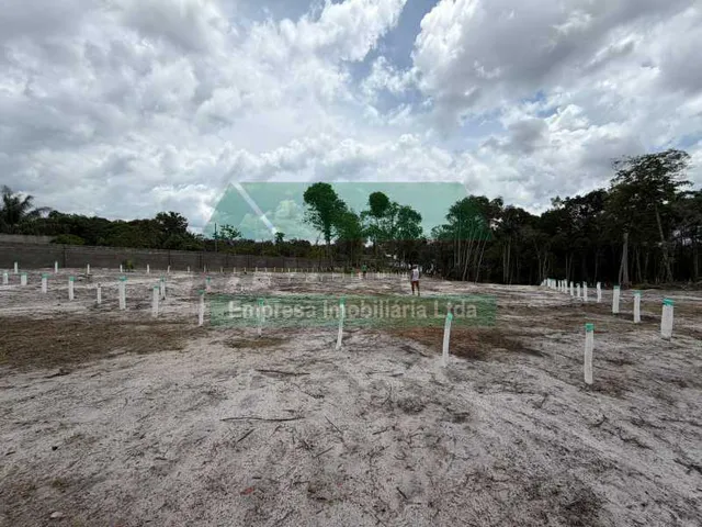 Imagem 3: Terreno-À VENDA-Tarumã-Manaus-AM