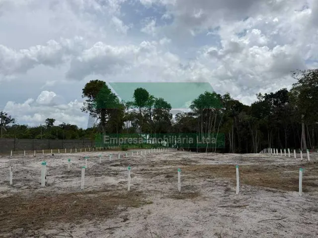 Imagem 4: Terreno-À VENDA-Tarumã-Manaus-AM