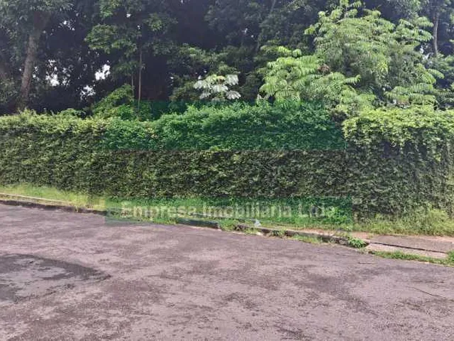 Imagem: Terreno-À VENDA-Adrianópolis-Manaus-AM