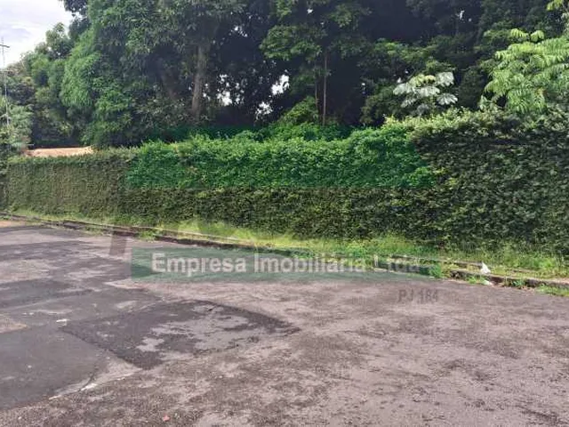 Imagem 2: Terreno-À VENDA-Adrianópolis-Manaus-AM