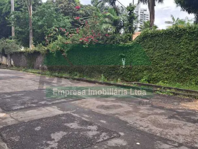 Imagem 3: Terreno-À VENDA-Adrianópolis-Manaus-AM
