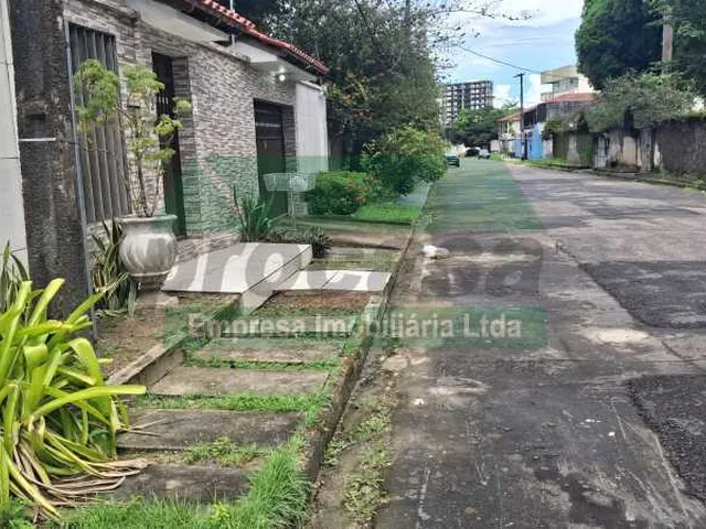 Imagem 4: Terreno-À VENDA-Adrianópolis-Manaus-AM